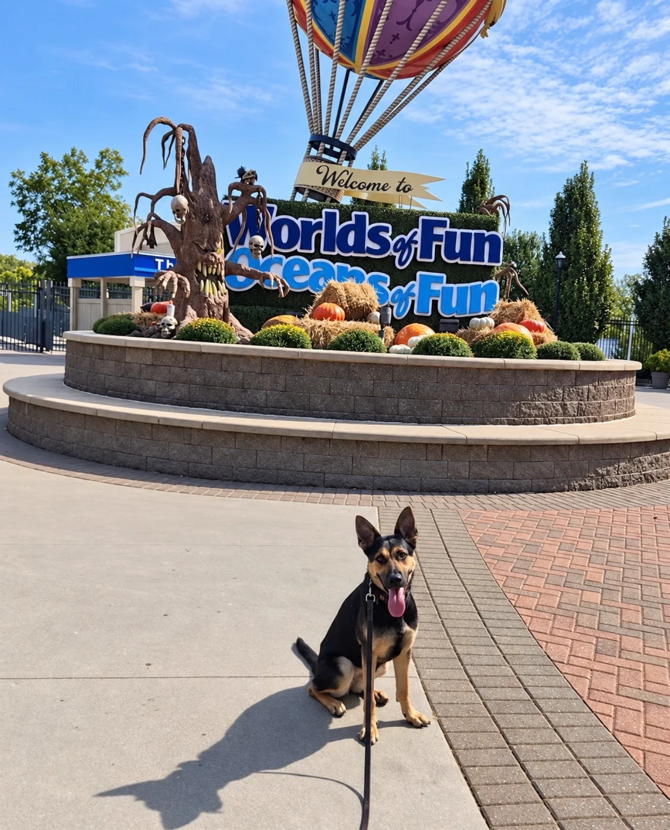 Detection dog at a theme park entrance